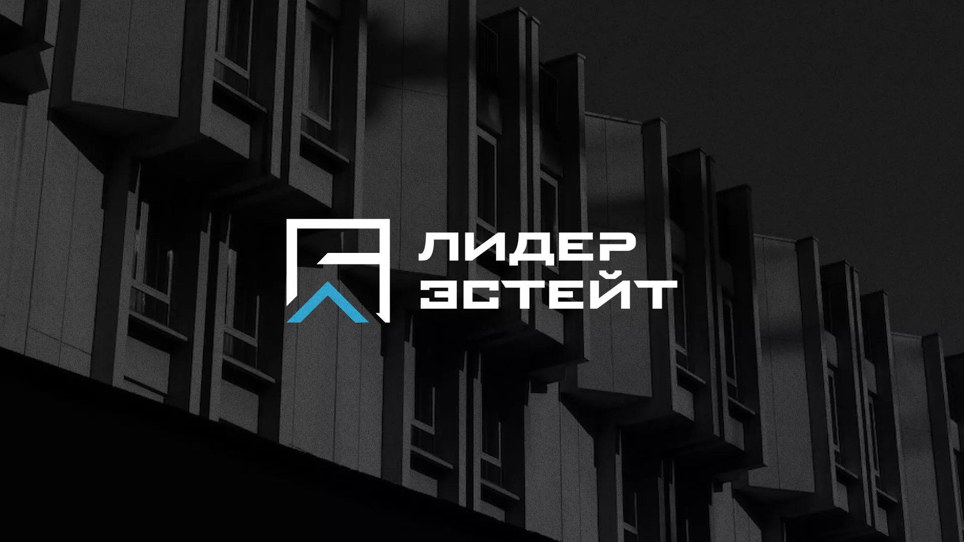 Разработка логотипа агентства недвижимости «Лидер Эстейт» в Каменске-Уральском